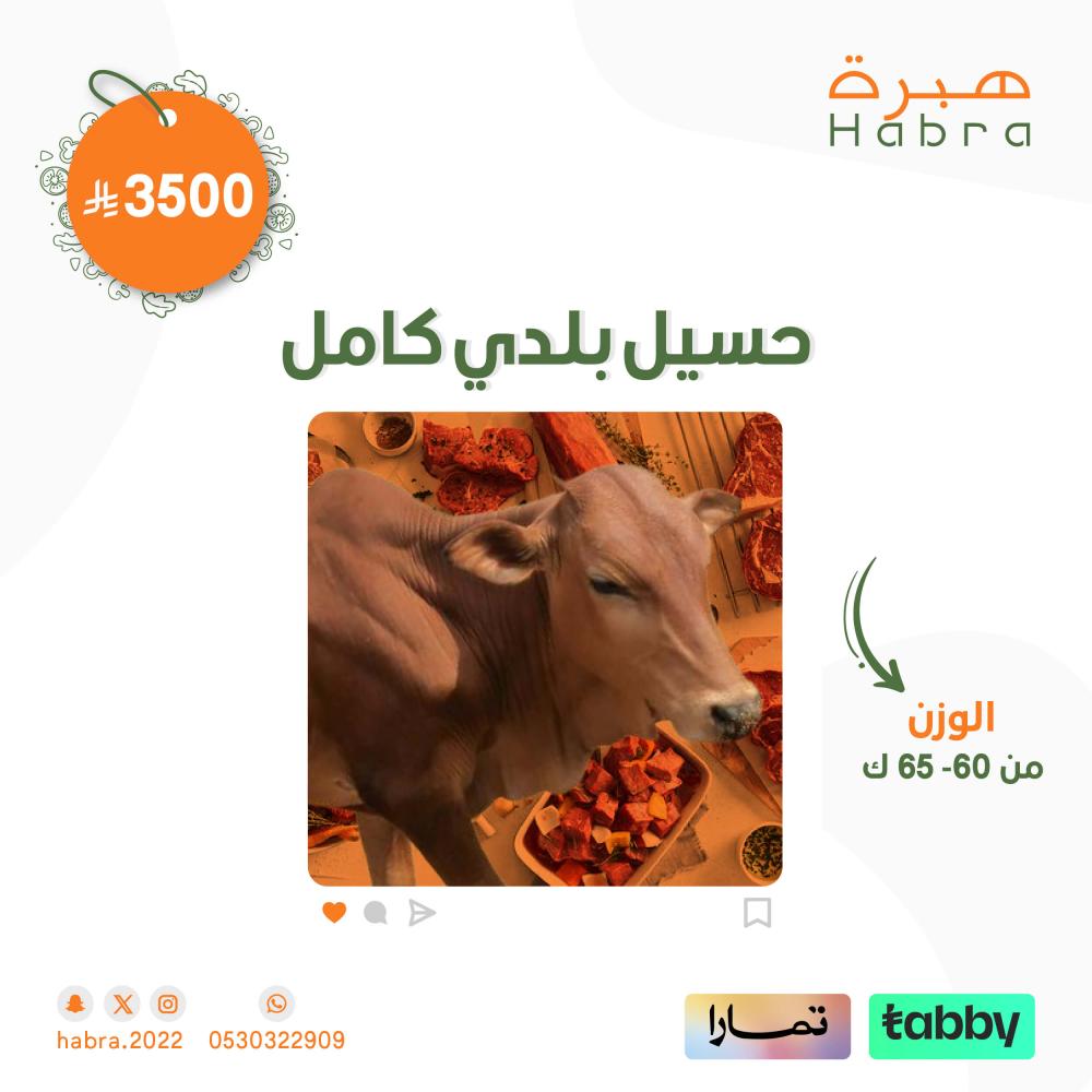 حسيل بلدي كامل