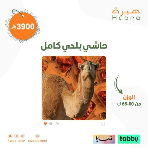 حاشي بلدي ( ذبيحه كامله )