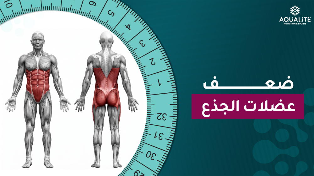 ضعف عضلات الجذع