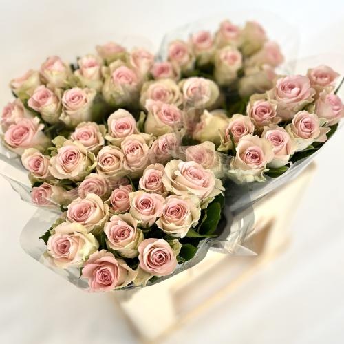 جوري وردي فاتح - 10 اغصان