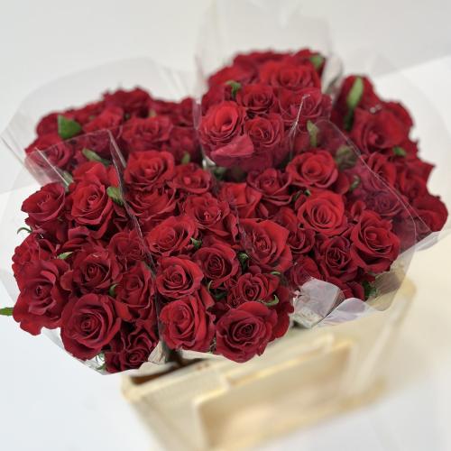 جوري احمر - 10 اغصان