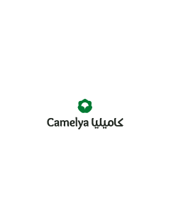 Matcha Camellia