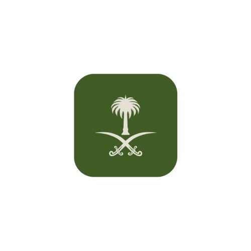 سيفين ونخلة