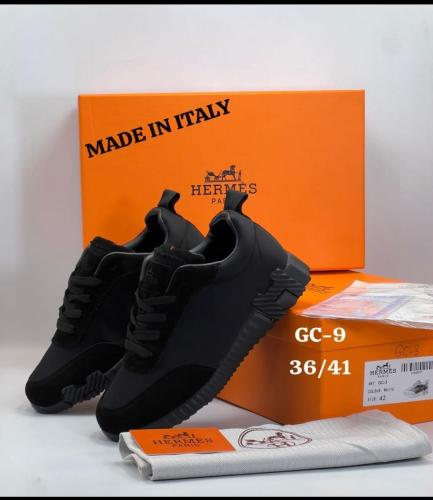 HERMES 3