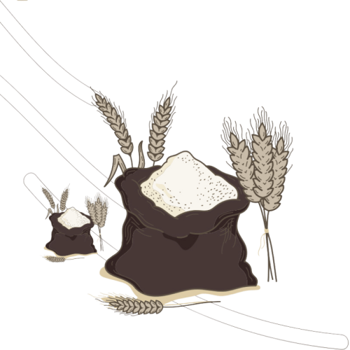 لماذا يجب أن يكون الدخن جزءًا من نظامك الغذائي؟