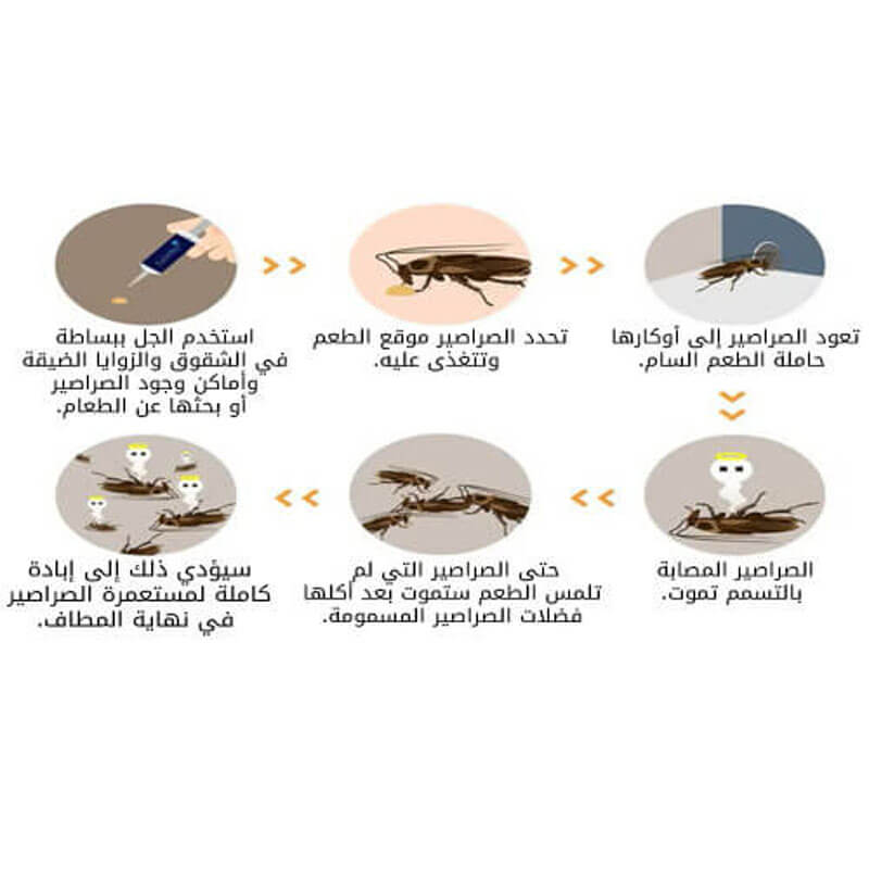 مكافحة الصراصير بالمنزل