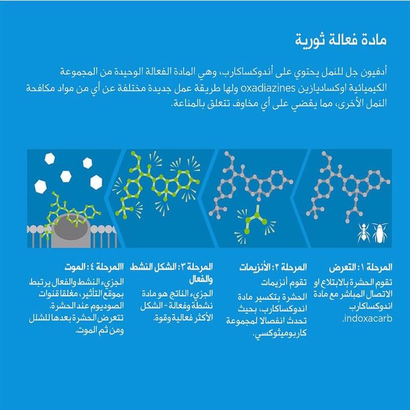 استخدام جل النمل الامريكي