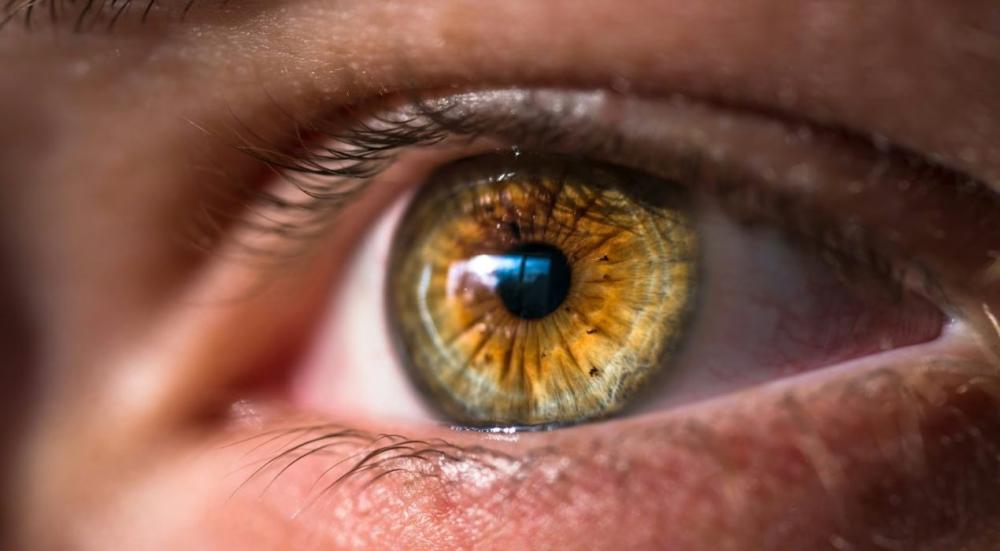 Colored-lenses-for-sensitive-eyes