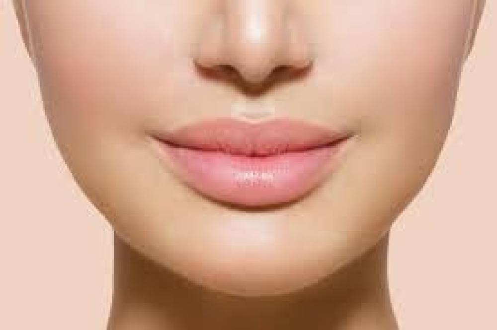 توريد الشفايف