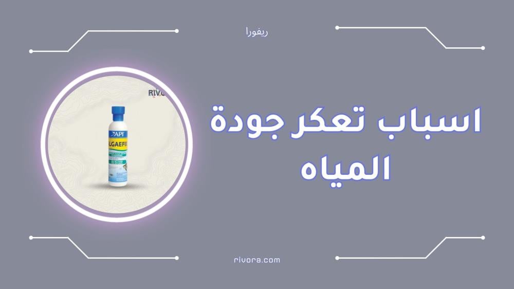 اسباب تعكر جودة المياه في حوض السمك و كيفية حلها