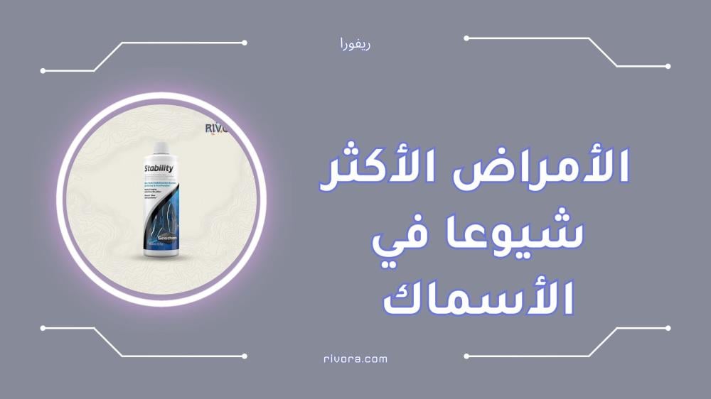 الأمراض الأكثر شيوعًا في الأسماك وطرق علاجها الفعالة