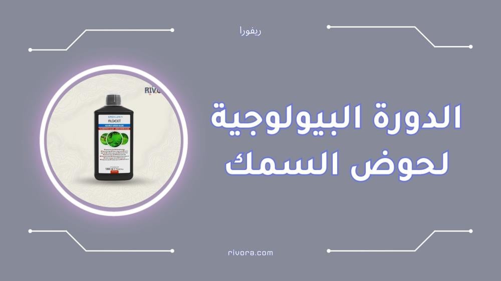 الدورة البيولوجية لحوض السمك وتحويل الأمونيا إلى نترات