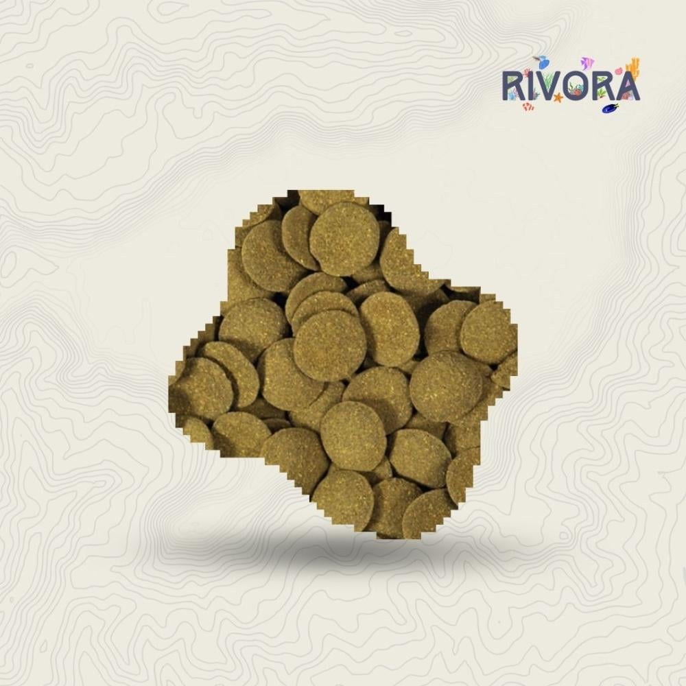 اكل سمك الزينة - رقائق الطحالب |Hikari Algea Wafers