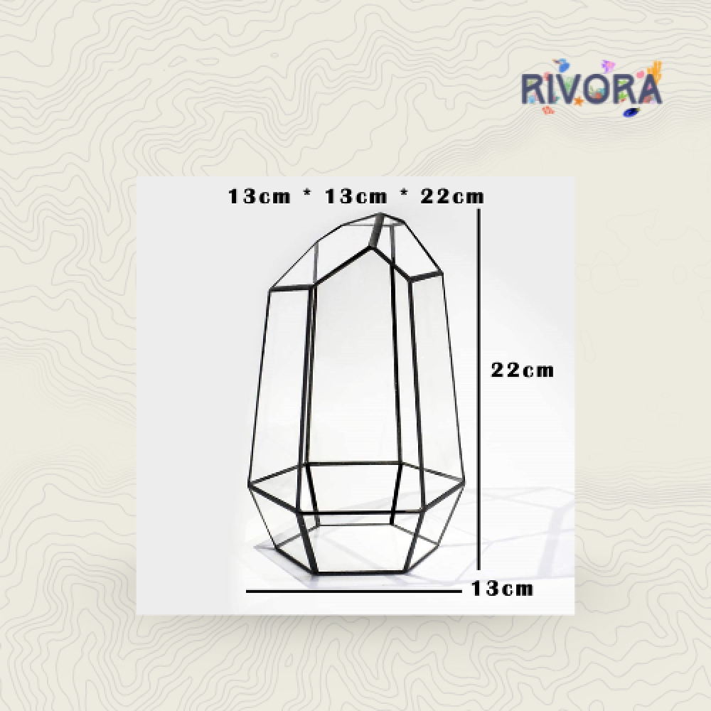 فازة زجاجية للتراريوم