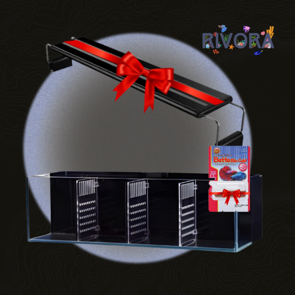 حوض الفايتر الأربع خانات – مع الإضاءة و أكل هيكاري