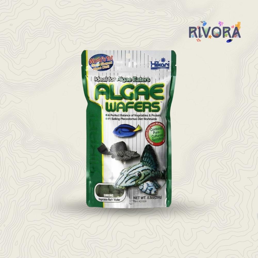 اكل سمك الزينة - رقائق الطحالب |Hikari Algea Wafers