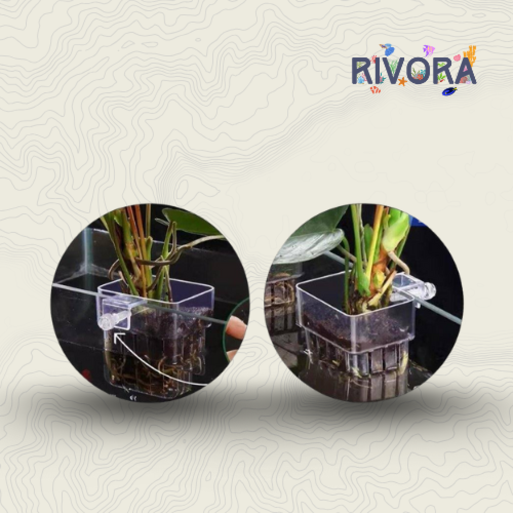 حامل نباتات للأحواض