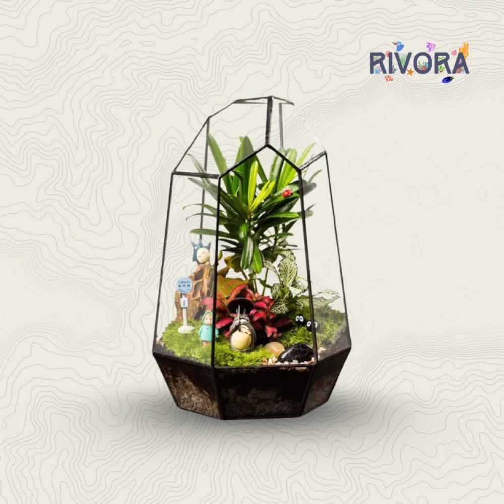 فازة زجاجية للتراريوم