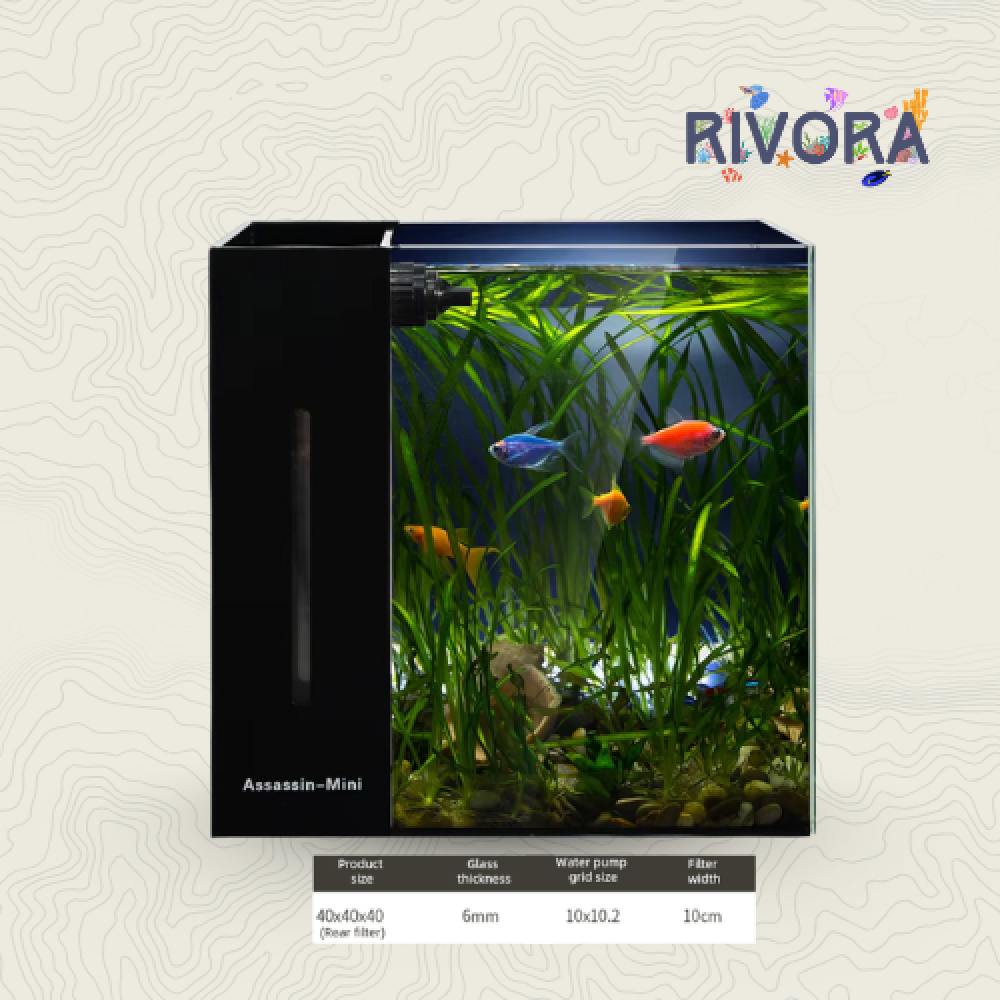 حوض سمك بفلتر