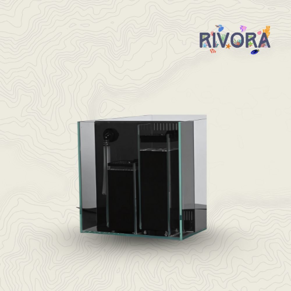 حوض سمك بفلتر