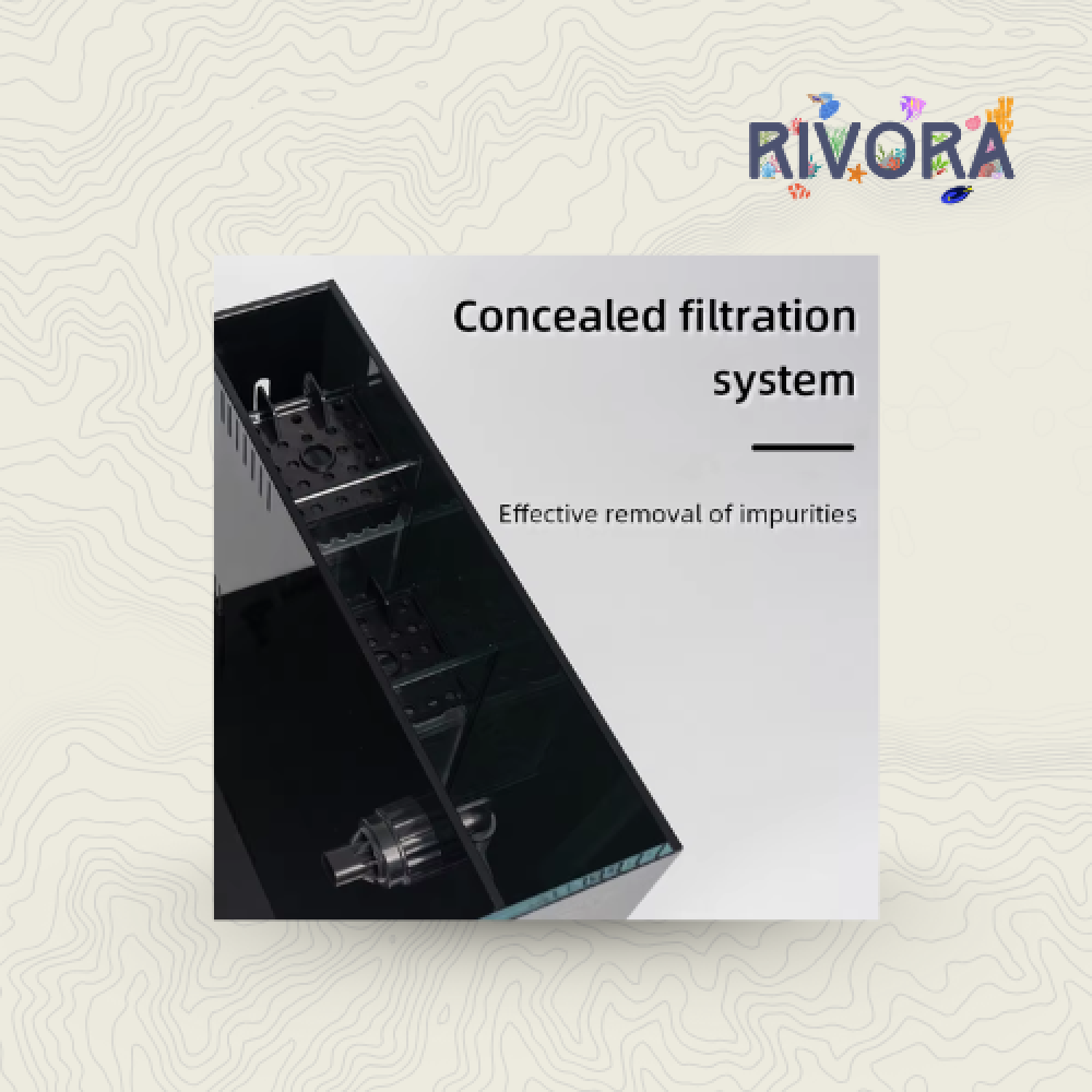 حوض سمك بفلتر