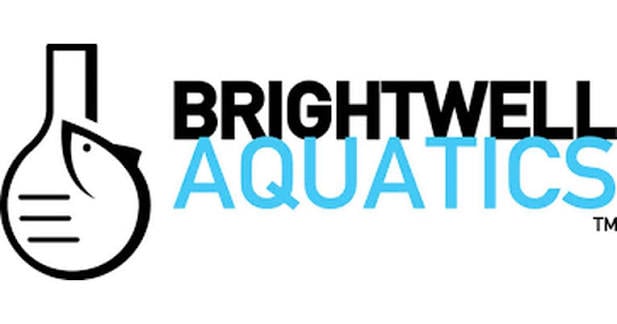 Brightwell