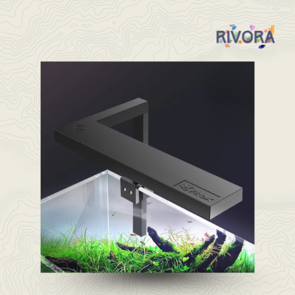 مصباح حوض نانو