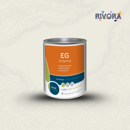 بيض ارتيميا EG INVE