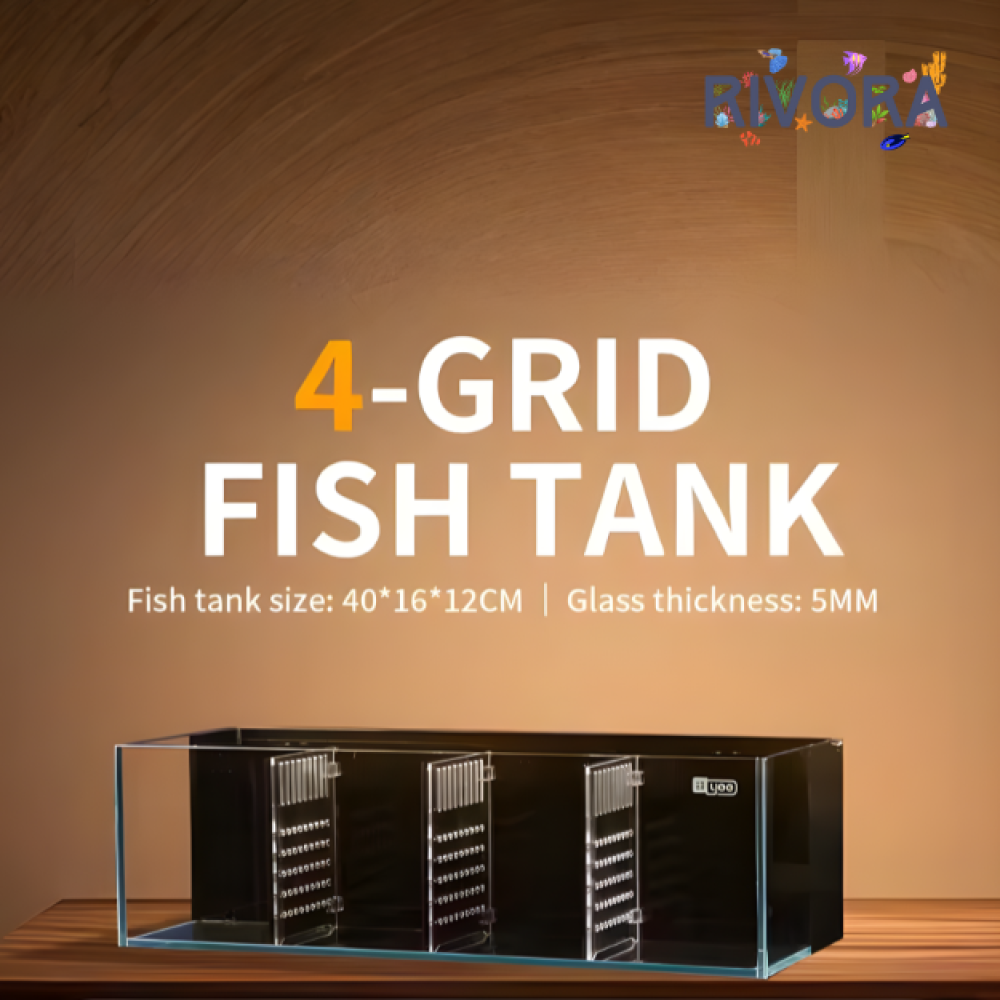 حوض الفايتر الأربع خانات – مع الإضاءة و أكل هيكاري