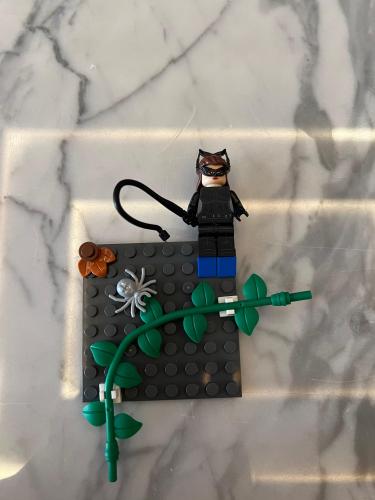 Lego case