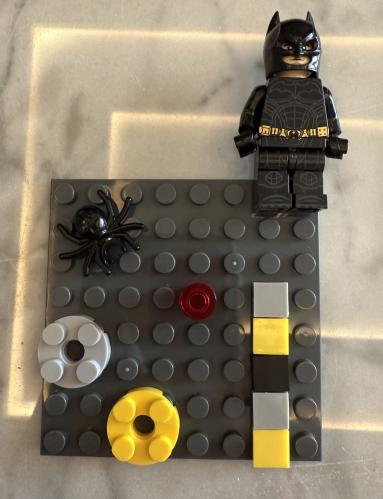 Lego case