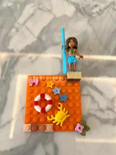 Lego case