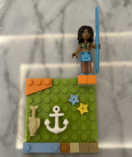 Lego case