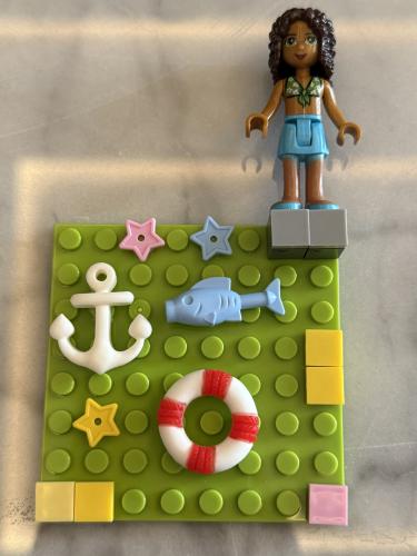 Lego case