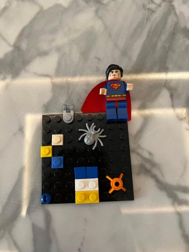 Lego case