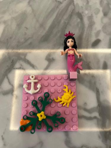 Lego case