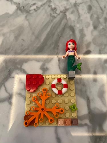 Lego case
