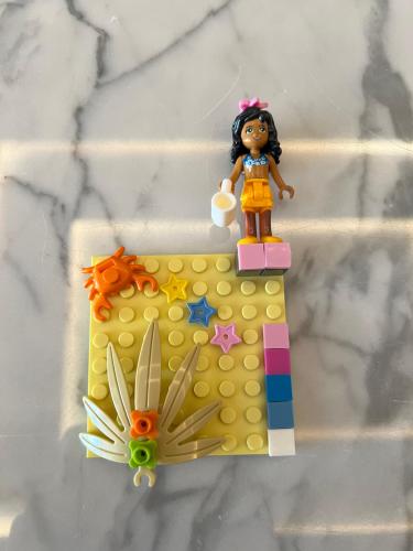 Lego case
