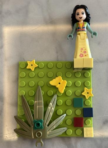 Lego case