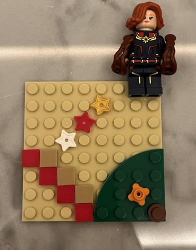 Lego case N19