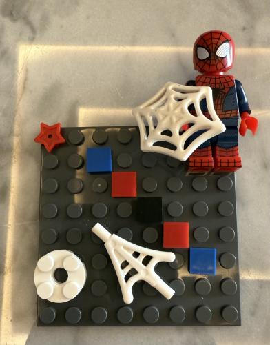 Lego case
