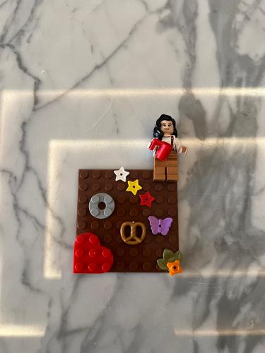 Lego case