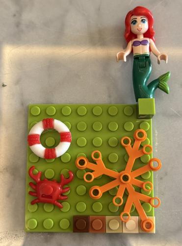 Lego case