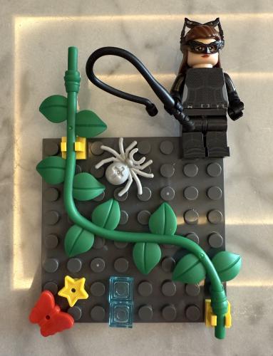 Lego case