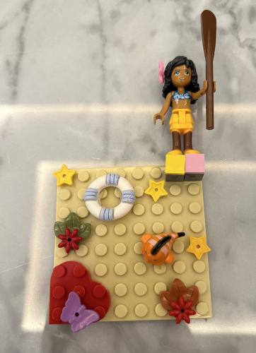 Lego case