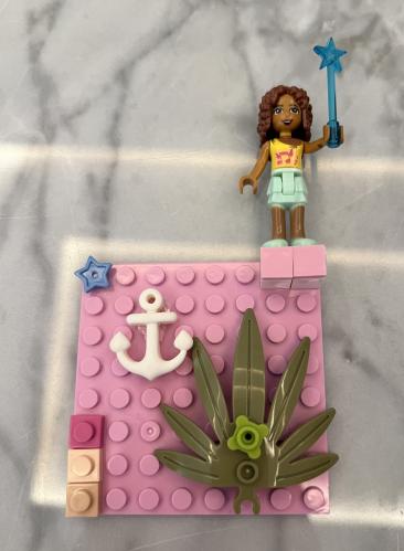 Lego case
