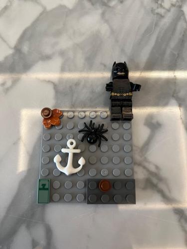 Lego case