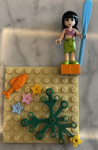 Lego case