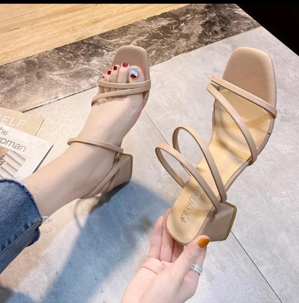 ببج