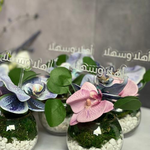 فازات ميني